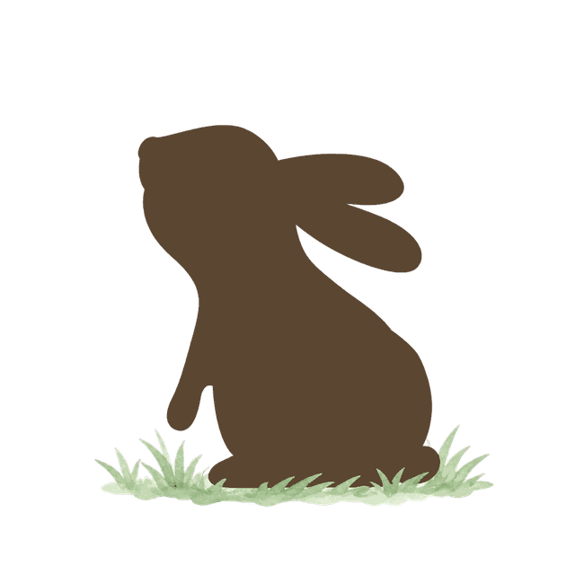 水辺にたたずむうさぎ